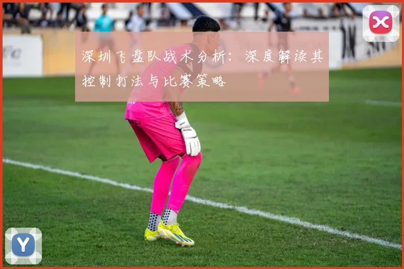 深圳飞盘队战术分析：深度解读其控制打法与比赛策略