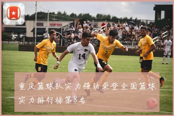 重庆篮球队实力强劲荣登全国篮球实力排行榜第8名