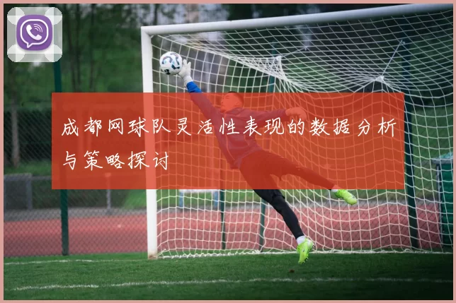 成都网球队灵活性表现的数据分析与策略探讨