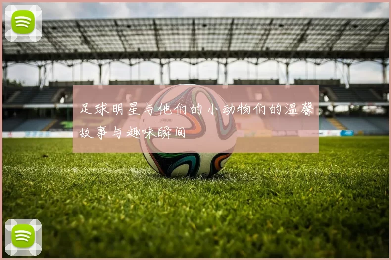 足球明星与他们的小动物们的温馨故事与趣味瞬间