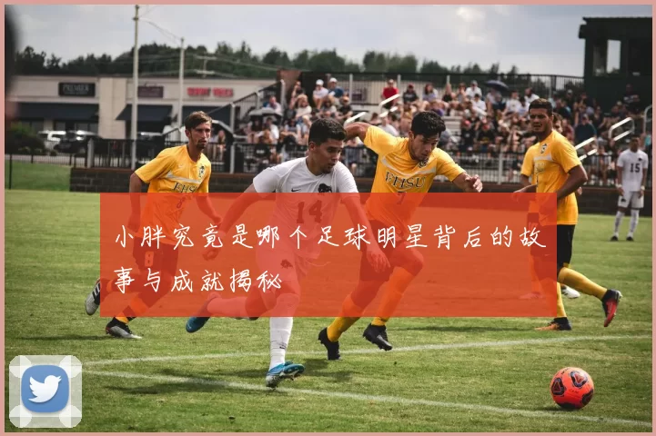小胖究竟是哪个足球明星背后的故事与成就揭秘