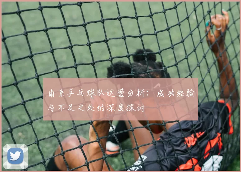 南京乒乓球队运营分析：成功经验与不足之处的深度探讨