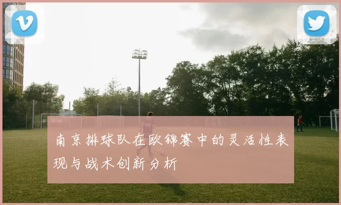 南京排球队在欧锦赛中的灵活性表现与战术创新分析