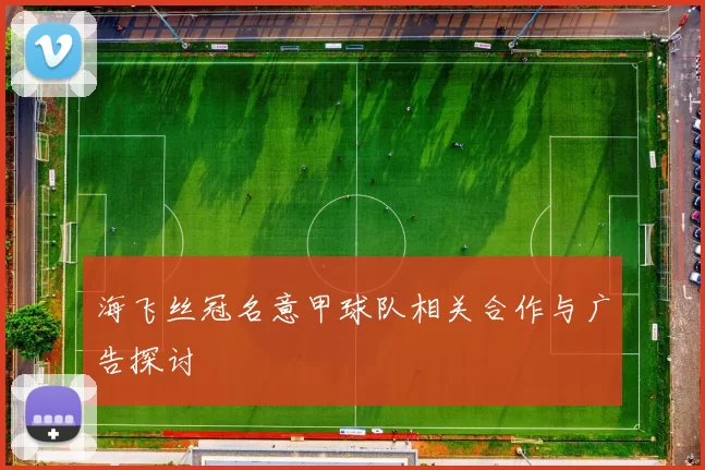 海飞丝冠名意甲球队相关合作与广告探讨