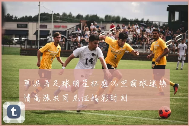 草泥马足球明星杯盛况空前球迷热情高涨共同见证精彩时刻