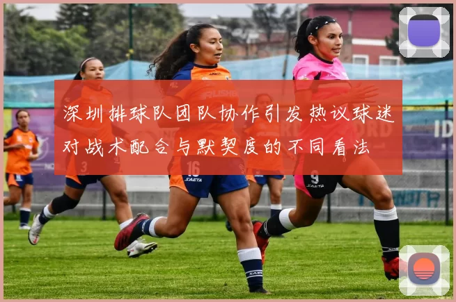 深圳排球队团队协作引发热议球迷对战术配合与默契度的不同看法