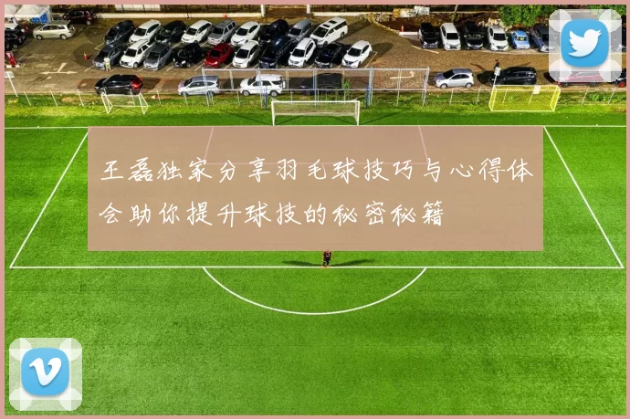 王磊独家分享羽毛球技巧与心得体会助你提升球技的秘密秘籍