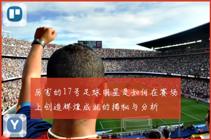 厉害的17号足球明星是如何在赛场上创造辉煌成就的揭秘与分析