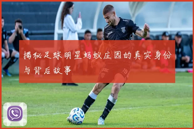 揭秘足球明星蚂蚁庄园的真实身份与背后故事