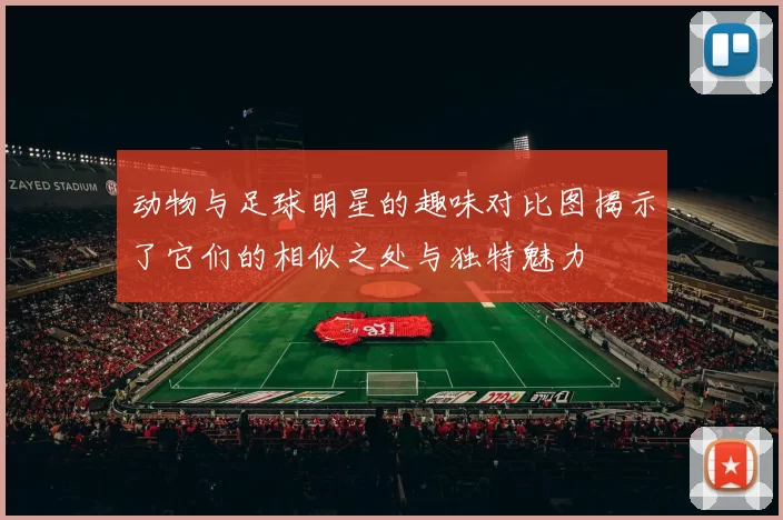 动物与足球明星的趣味对比图揭示了它们的相似之处与独特魅力
