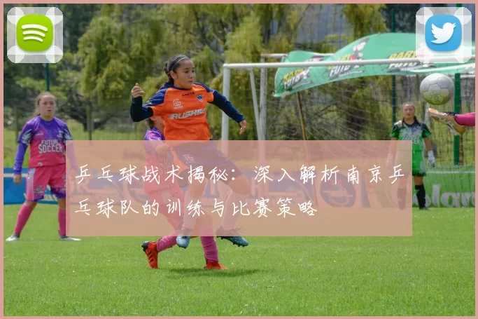 乒乓球战术揭秘：深入解析南京乒乓球队的训练与比赛策略