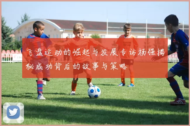 飞盘运动的崛起与发展专访杨强揭秘成功背后的故事与策略