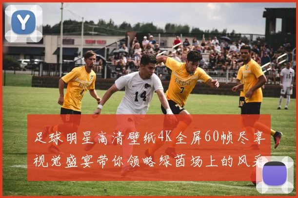 足球明星高清壁纸4K全屏60帧尽享视觉盛宴带你领略绿茵场上的风采与激情