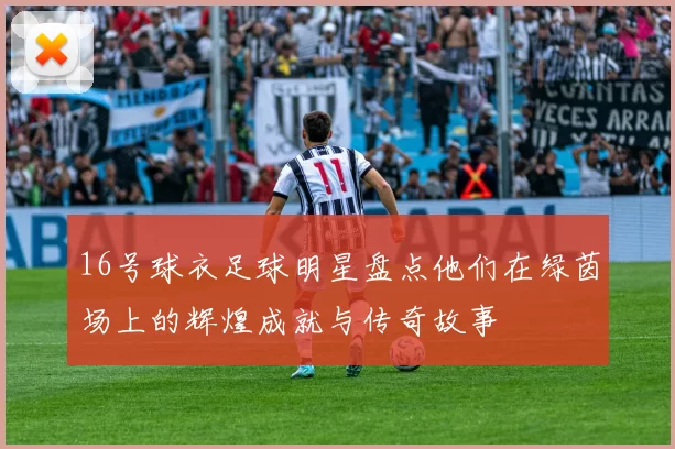 16号球衣足球明星盘点他们在绿茵场上的辉煌成就与传奇故事