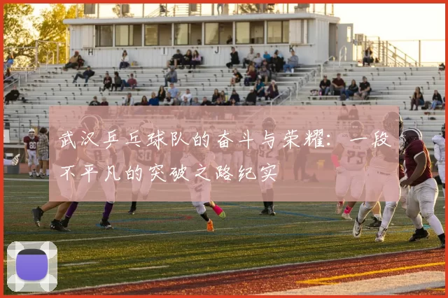 武汉乒乓球队的奋斗与荣耀：一段不平凡的突破之路纪实
