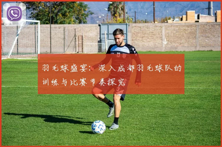 羽毛球盛宴：深入成都羽毛球队的训练与比赛节奏探究