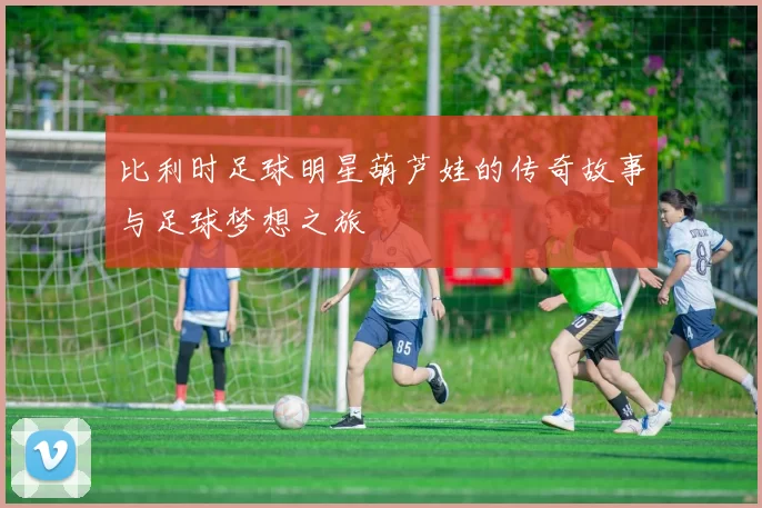 比利时足球明星葫芦娃的传奇故事与足球梦想之旅