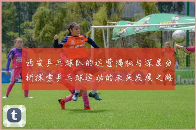 西安乒乓球队的运营揭秘与深度分析探索乒乓球运动的未来发展之路