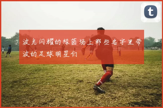 波光闪耀的绿茵场上那些名字里带波的足球明星们