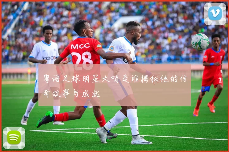 粤语足球明星大哨是谁揭秘他的传奇故事与成就