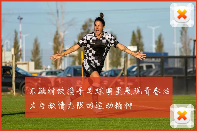 东鹏特饮携手足球明星展现青春活力与激情无限的运动精神