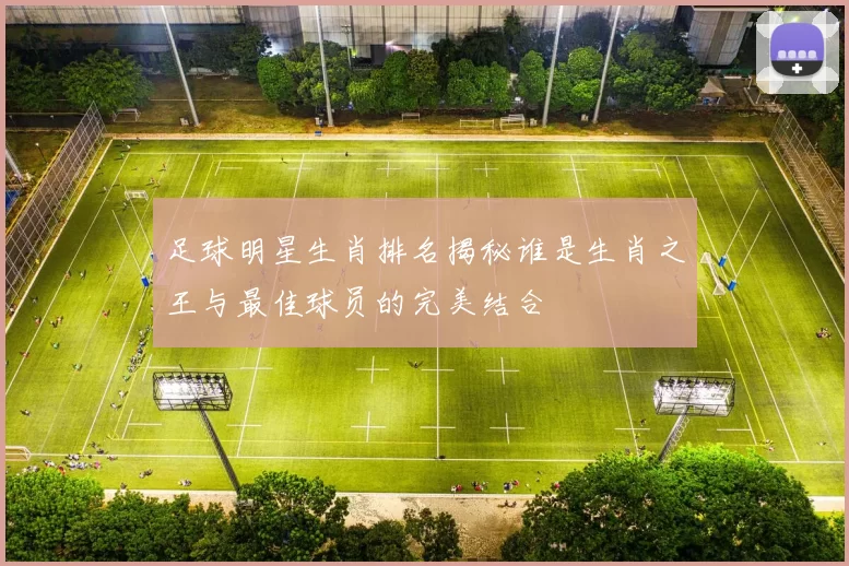 足球明星生肖排名揭秘谁是生肖之王与最佳球员的完美结合