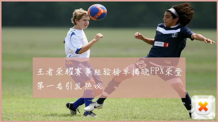 王者荣耀赛事经验榜单揭晓FPX荣登第一名引发热议