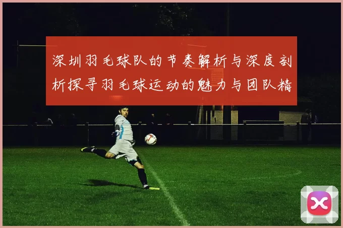 深圳羽毛球队的节奏解析与深度剖析探寻羽毛球运动的魅力与团队精神