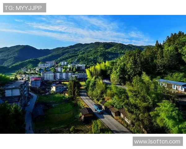 中国跳水运动员的荣耀与奋斗：从池畔到世界巅峰的心路历程