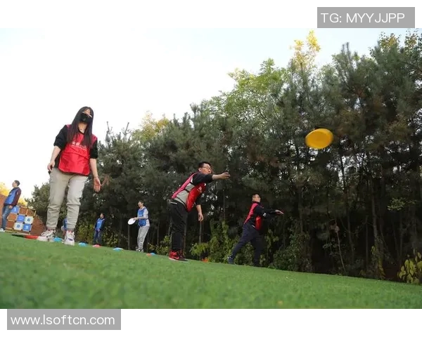 飞盘盛宴揭秘杭州飞盘队实力与魅力的全景探索