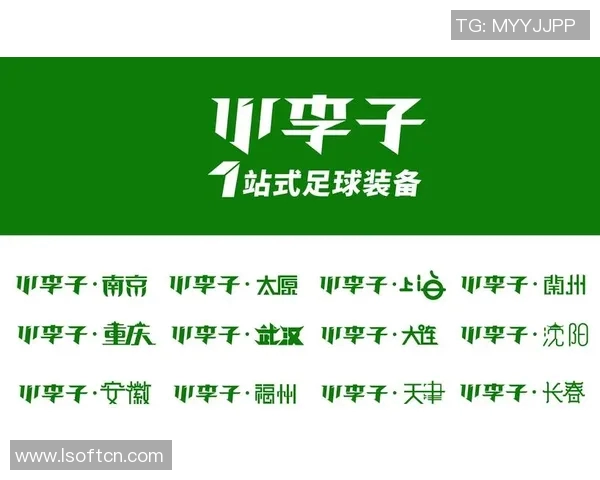 南京足球队荣登全国足球比赛经验排行榜第二名的辉煌成就分析