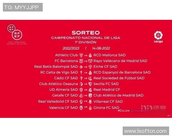 西甲联赛的国内转播平台与观看方式介绍